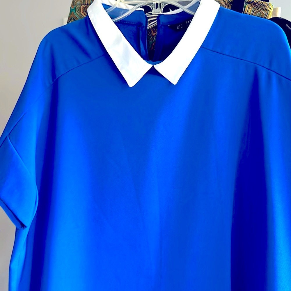 Zara Collared Dress - Picture 3 of 9